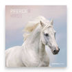 Picture of HORSES WALL CALENDAR 2024